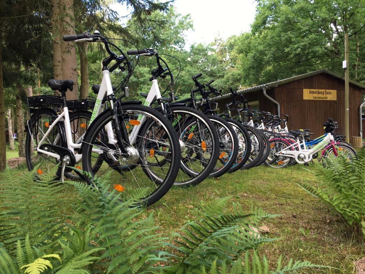 Feriendorf Fynnus Dranske Zewnętrze zdjęcie